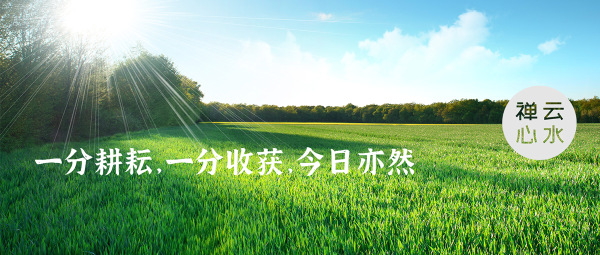 一分耕耘，一分收获，今日亦然
