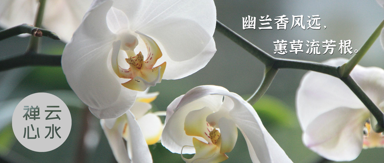 兰月 | 幽兰香风远，蕙草流芳根
