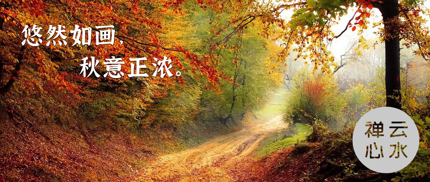 秋色 | 悠然如画，秋意正浓