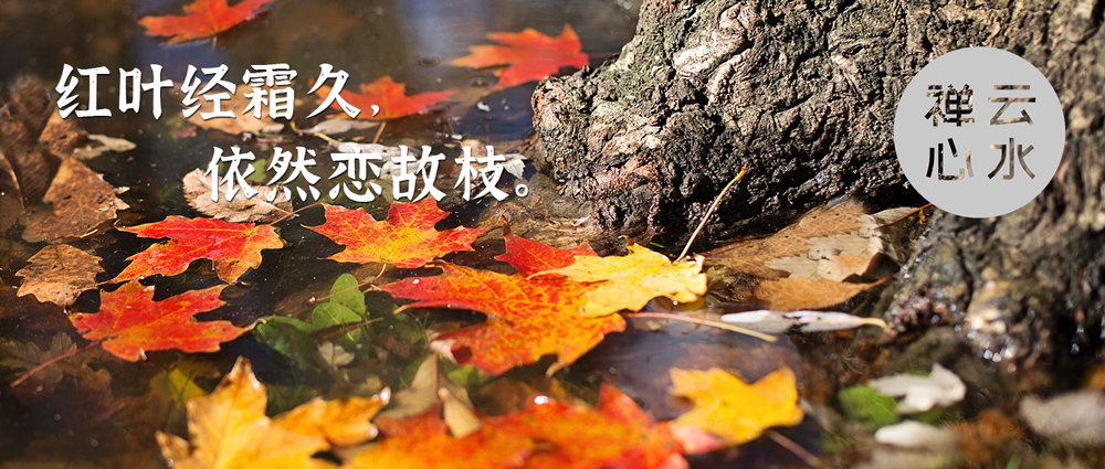 红叶经霜久，依然恋故枝