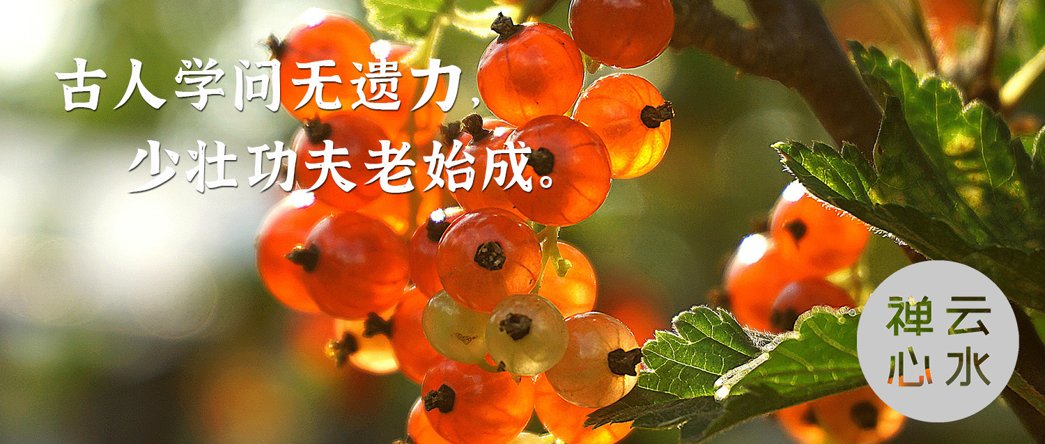 古人学问无遗力，少壮功夫老始成