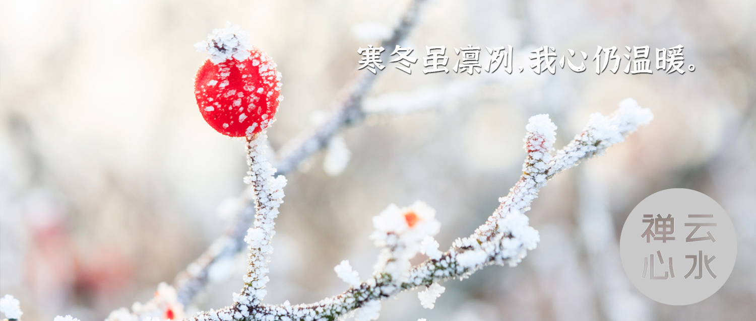 云水禅心 | 寒冬虽凛冽，我心仍温暖
