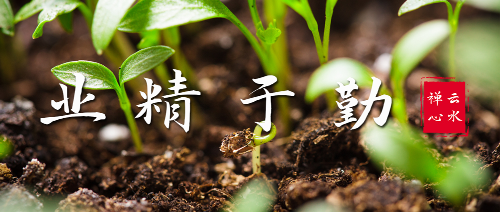 勤 | 大鹏一日同风起，勤能扶摇上万里