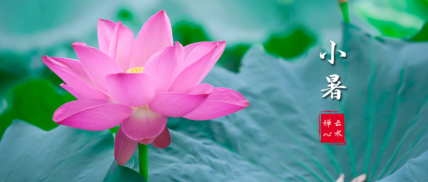 小暑 | 炎炎夏日的开始