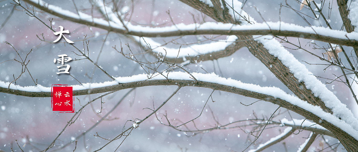 大雪 | 千里冰封，万里雪飘